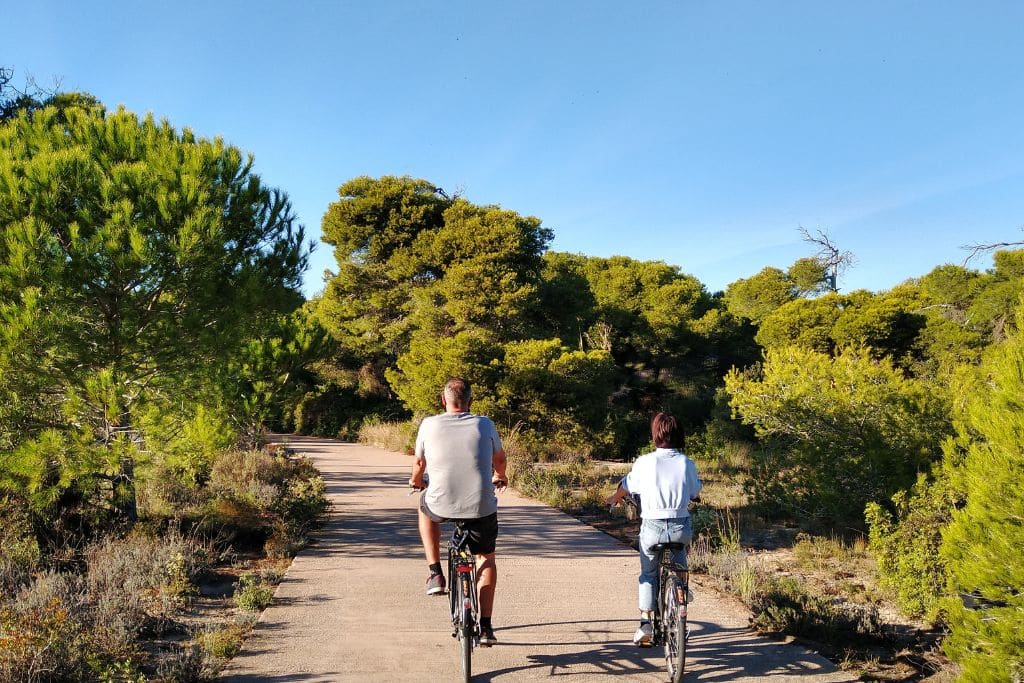 Green bike routes Valencia