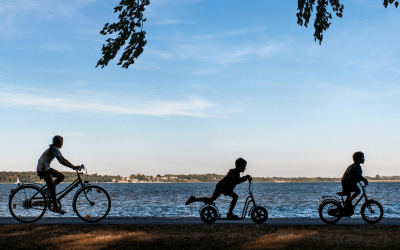 Low Cost Bike Rental Valencia Closed?